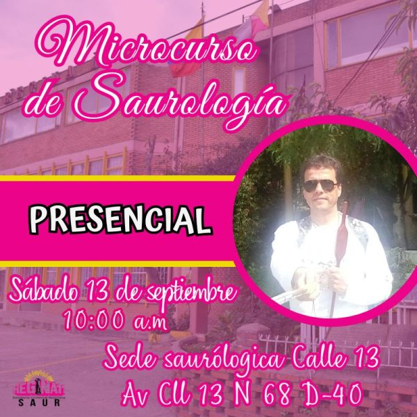 Microcurso de Saurología con el Maestro Vive - Presencial