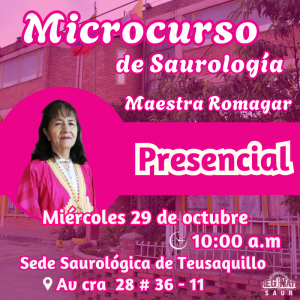 Microcurso de Saurología con la maestra Romagar - Presencial
