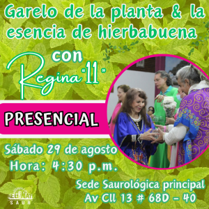 Presencial - Garelo de la esencia y la planta de hierbabuena con la Maestra Regina "11"