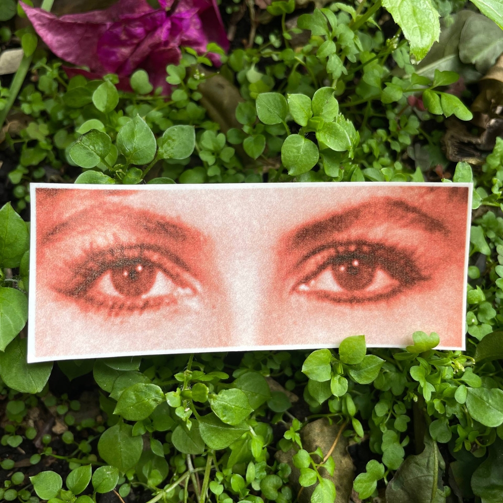 Ojos Grandes Calcomanía